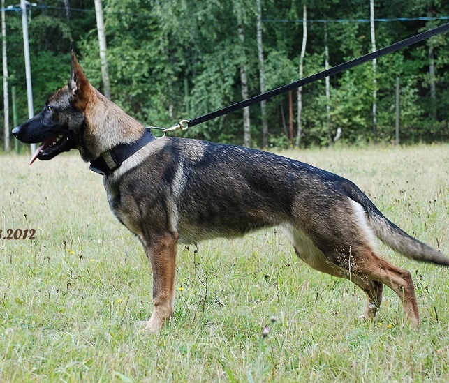 Attaka